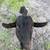 Intact Male Goat 2 thumbnail