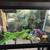 30 GAL GLASS FISH TANK & STAND 2 thumbnail