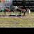 Hay Feeder/Square Bale 2 thumbnail