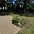 SILVER LAKE - 4 Bedroom 2 & 1/2 Bath with Silver Lake Association acce 2 thumbnail