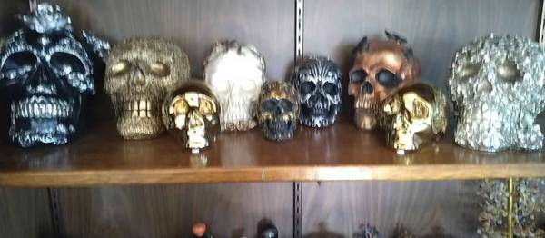 Large Collection of Decorative Skulls 1