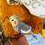 Cockatiel 1 thumbnail