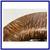 Pottery Barn Round Bark Wood Mirror 8 thumbnail