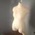 Dress Form - Size 16 - Moving Sale! 1 thumbnail