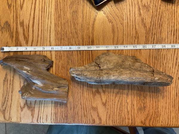Petrified Wood  $26.50 each 1