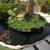 ⭐ Landscape service ⭐ Custom Pond, waterfalls ⭐ Designing and building 7 thumbnail