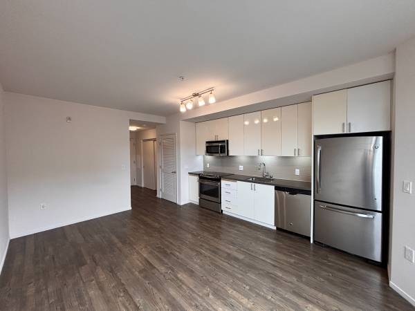 $900 / 1br - Peaceful Location With Natural Light Marina (Marina / Cow Hollow)63965991599362120
