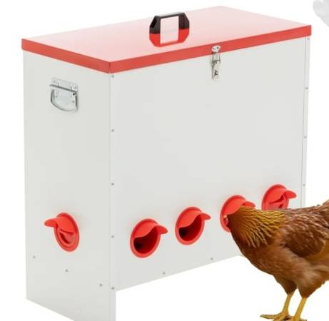 Chicken feeder 1