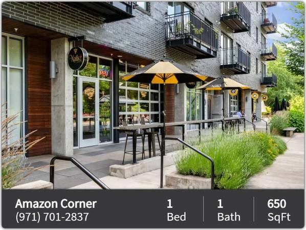 Tranquility can be yours! Serene 1 bed / 1 bath in Eugene 1
