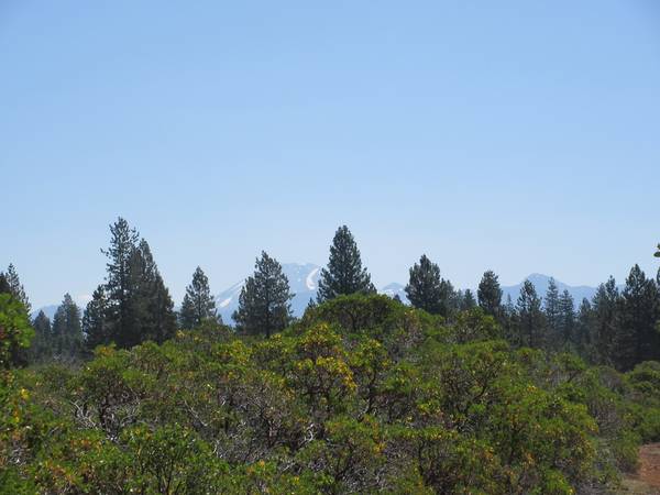 $52,000 Level 2.5 acres with septic/View of Lassen (Shingletown)63972532571138121