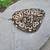 Rehoming Ball Pythons 2 thumbnail