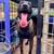 Female Belgian Malinois 2 thumbnail