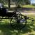 Mennonite Buggy with Harness 1 thumbnail