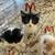 5 Friendly Kittens 3 thumbnail
