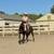 Gorgeous Black Quarter Horse for Sale 12 thumbnail