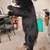 Mounted Bear Cub Taxidermy 3 thumbnail