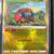 Pokemon 10-Card Pack (Read Description) 5 thumbnail