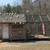 Homing pigeons 3 thumbnail