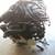 Honda Toyota Nissan & More JDM Imported Used Engines & Rebuilt Engines 3 thumbnail