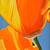 Alex Nizovsky - Californian Poppy #7 - Modern Floral Painting 18"x24" 1 thumbnail
