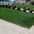 HECTOR LANDSCAPING🌿TREE PALM🌳🌴TRIMING WEED WACKIN GARDENING MAINTENANCE 17 thumbnail