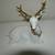 3 pc Porcelain Deer Family XMAS 3 thumbnail