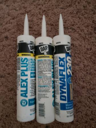 Dap 1