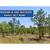 Rare 0.20 Acre Florida Land for $99/Down? Click to Own Now 8 thumbnail