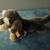 Vintage 1980s Steiff Raudi Dachshund dog 4151/25 plush stuffed animal 10 thumbnail