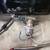 A BODY DODGE FUEL TANK WITH SUMP 5 thumbnail