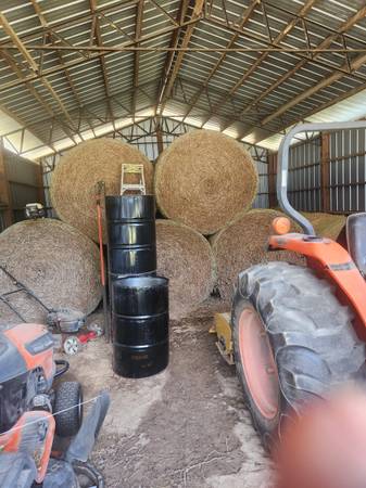 Peanut Hay 1