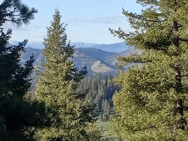 $777,000 34 Acre Boise Mountain Estate | Build Ready | Well + Septic | No HOA (Boise, ID)63794895284995121