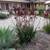 Two weeks free rent.Large single. Gas and water paid by landlord,$1570 2 thumbnail