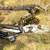 🚲 TREK 800 Antelope Mountain Bike 🚲 13 thumbnail