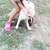 Female pit puppy & Female Alaskan Husky x Great Pyrenees 3 thumbnail