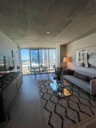 $2,200 / 1br - 792ft2 - Wonderful 1bed with plank floors, washer/dryer in unit, and pool (South Loop)63899123432834120