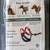 Sporn Mesh No Pull Dog Harness (Brand New) 2 thumbnail