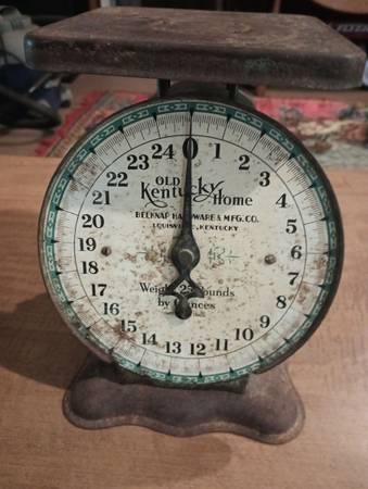 Scale 1