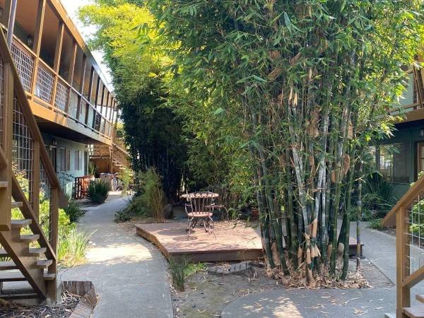 $1,750 / 1br - 650ft2 - 1 BDRM ASIAN GARDEN APARTMENT IN QUIET CENTRAL LOCATION 1621-12 (berkeley)63695839786881122