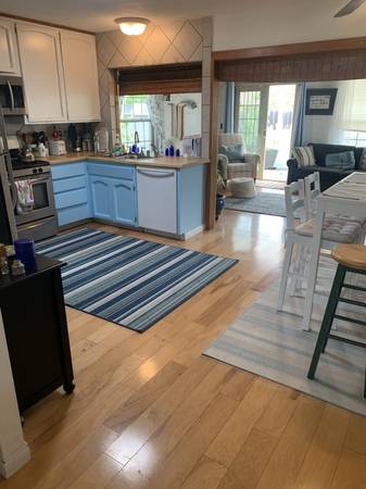 $1,200 / 4br - 130ft2 - Female to share nice home in Encinitas (Encinitas)63932991797506121