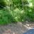Two Acres- Prime Real Estate Property with Ranch style house 10 thumbnail