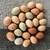 Fertile hatching eggs 1 thumbnail