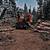 Logging, road building, fire mitigation 3 thumbnail