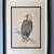 Limited Edition signed and framed Bald Eagle print 1 thumbnail