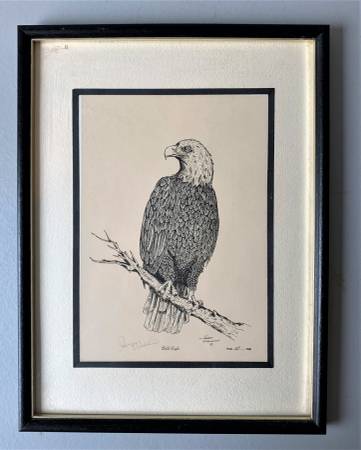 Limited Edition signed and framed Bald Eagle print 1