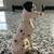 Disney - Pongo Figurine 2 thumbnail