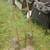 Old heavy 2 wheel dolly 2 thumbnail