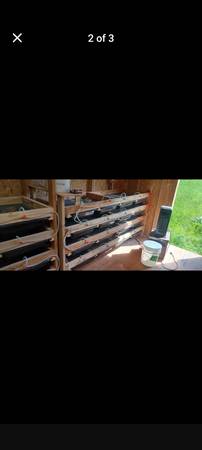 rat rack (carlton)63656845809025121