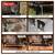 CLAWSABLE Indestructible Heated Cat House for Outside Winter, 100% Waterproof, E 7 thumbnail
