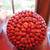 Flower Pots Orchid Containers Sphere Box SELECT Lot =4 4 thumbnail